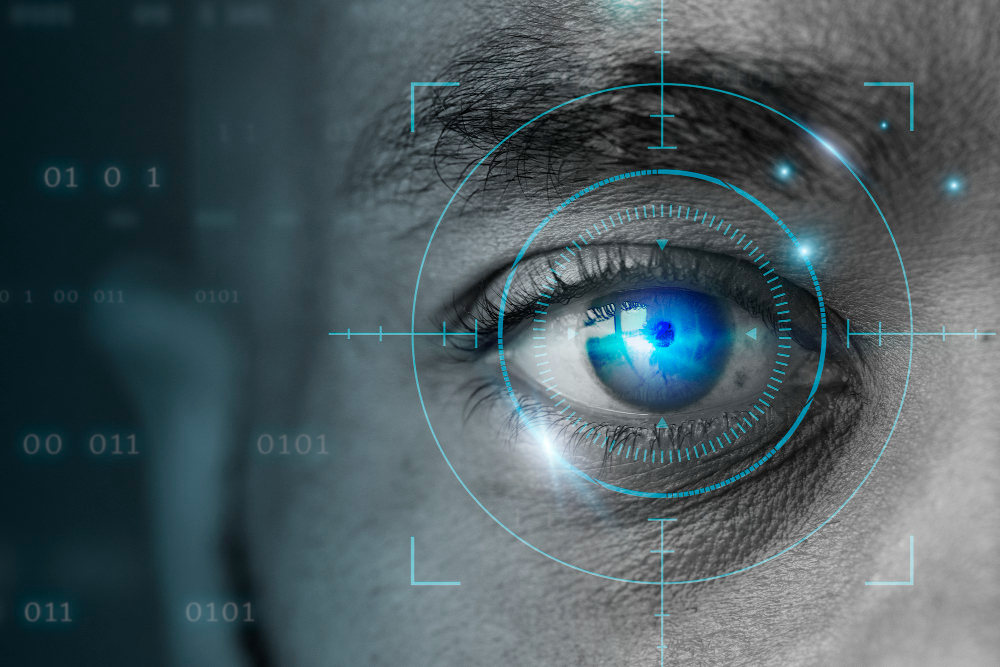 Visibilidad de Tu Negocio - Sitio Web