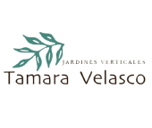 Jardines Verticales Tamara Velasco